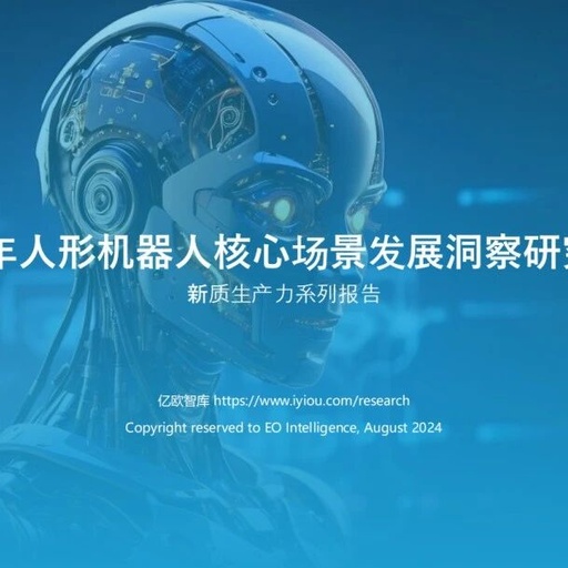 Insights into the Development of Humanoid Robots in Core Scenarios for 2024