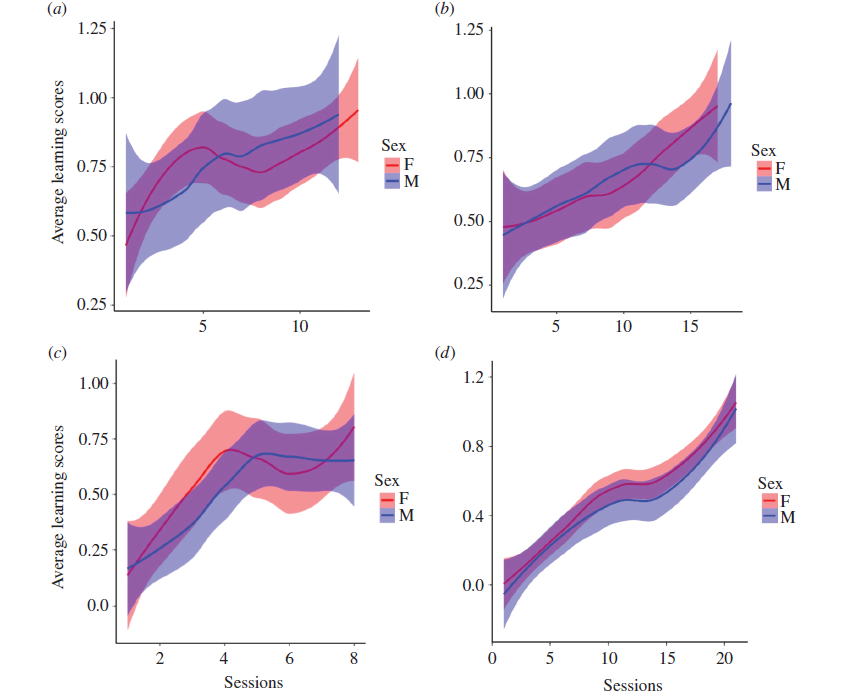 Female Antarctic Skuas Excel in Problem Solving and Novelty Acceptance