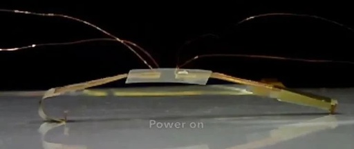University of Pittsburgh's Miniature "Insect" Robot: Amphibious and Capable of Performing Tasks in Tight Spaces