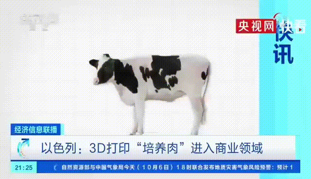 3D Printed Meat: Adjustable Fat-to-Lean Ratio with Wagyu Beef Marbling