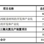 Examining the Localization of the Semiconductor Industry Chain through a Small Matter
