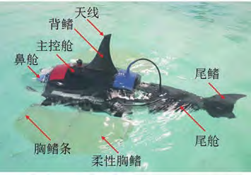 Current Applications of Underwater Robots in Fisheries