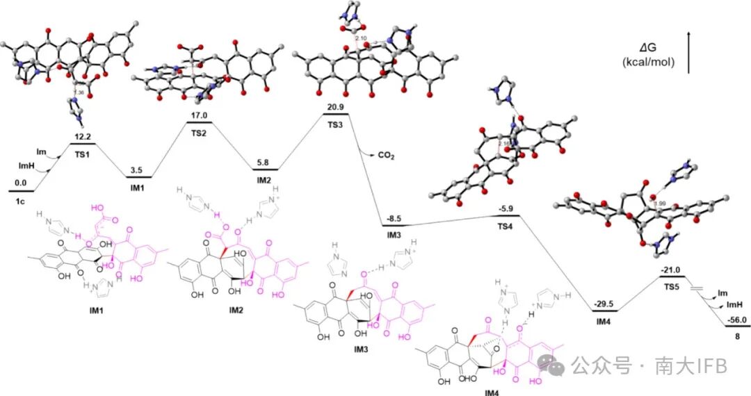 Biosynthesis of Dothideomins Reveals a Fungal P450 That Constructs the Tricyclo[5.2.2.0.4,8]undecane-Imbedded Core Skeleton