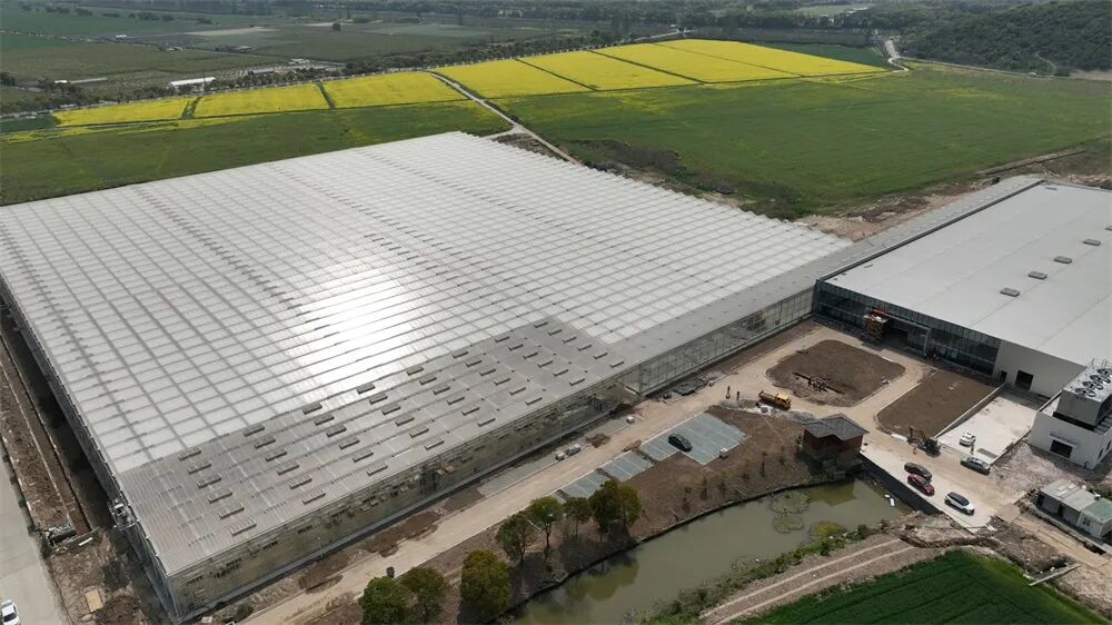 Intelligent Plant Factory in Haining Utilizing AI and Robotics!