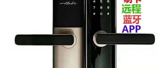 The Rise of Smart Locks in the Era of IoT