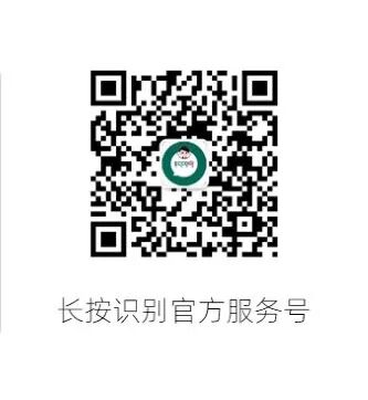 Sailing Forward Together: Huaxun Networks Partners with Leading PCB Companies to Build a Global IT Foundation and Open New Chapters in Overseas Expansion