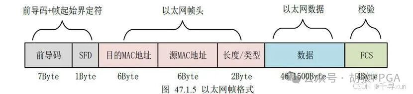 The Role and Message Format of ARP in TCP/IP