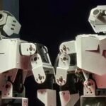 IoT Association | Showcase of Outstanding Past Works
