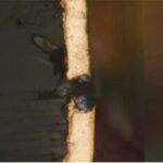 Analysis of Failure Causes for PCB Via Breakage (Corrosive Via Breakage)