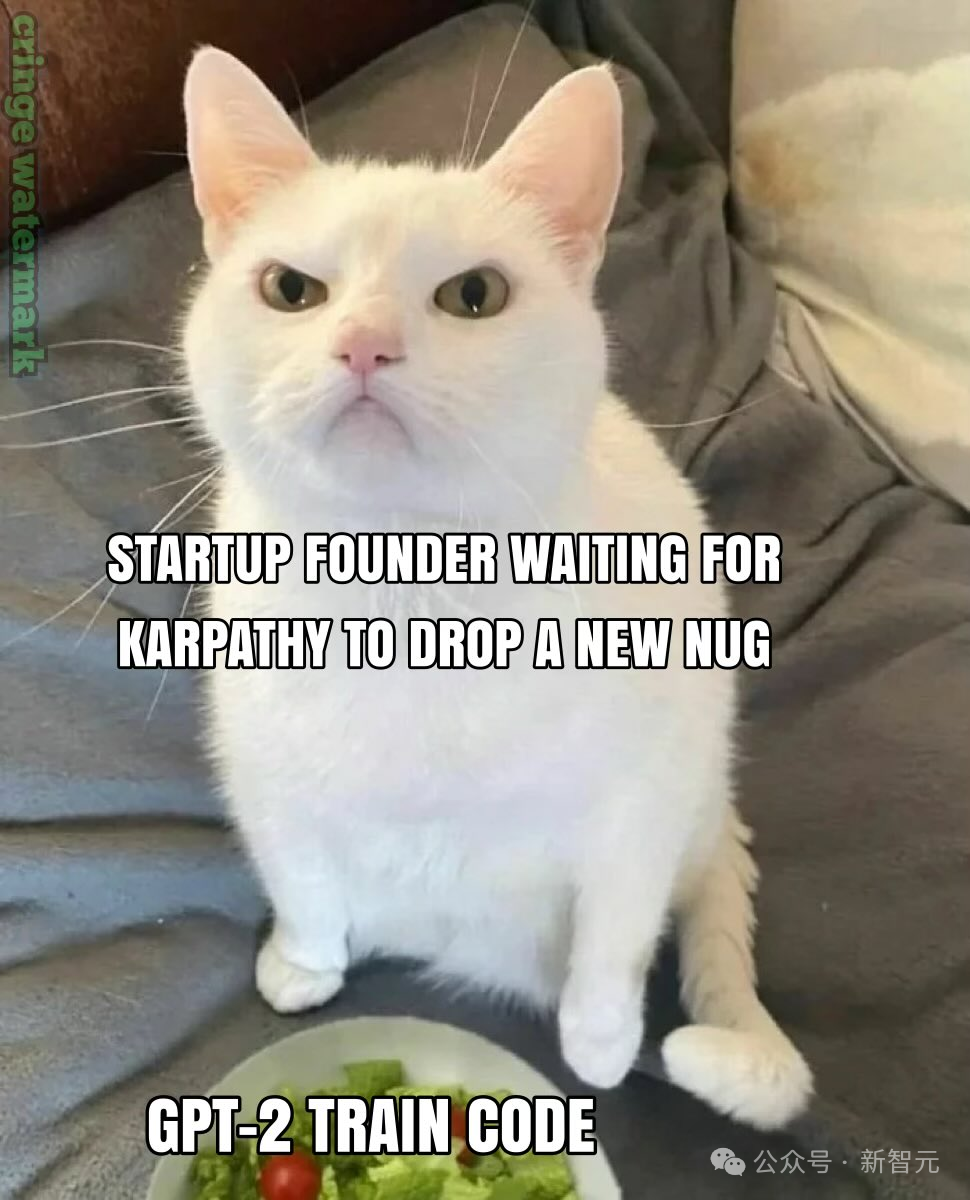 Training GPT-2 with Just 1000 Lines of C Code! AI Expert Karpathy's New Project Gains 2.5k Stars