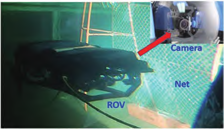 Current Applications of Underwater Robots in Fisheries