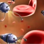 Weight Capacity Exceeding 20 Times Its Own! Microrobots Can Deliver Drugs Inside the Human Body