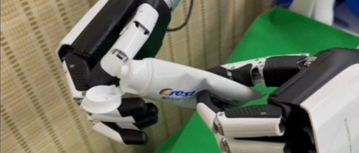 Can Robots Squeeze Toothpaste? ManipTrans: Efficient Transfer of Human Hand Skills to Dexterous Hands