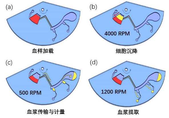 A Novel Glass Siphon Valve Structure on Centrifugal Microfluidic Chips