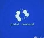 Linux pidof Command