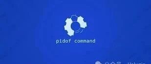 Linux pidof Command