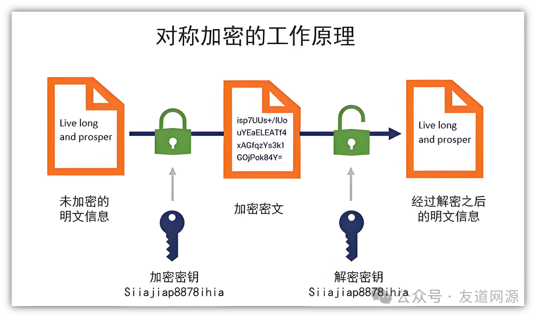 Exploring the Encrypted World: A Journey from Basic Algorithms to Digital Certificate Security