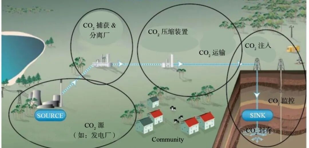 Understanding Carbon Neutrality and Its Implications for Climate Change