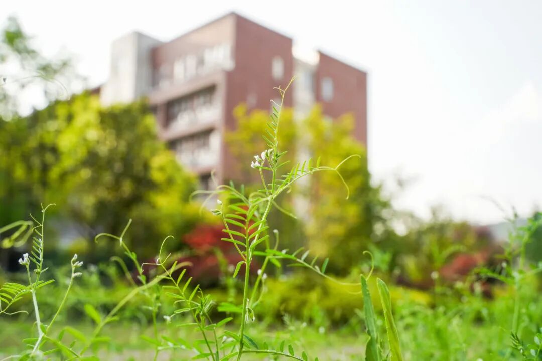 Campus Bluetooth Connected