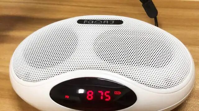 Bluetooth Speaker - Vanding F208: Shell-Shaped Design with Dual Speaker Configuration for Superior Sound