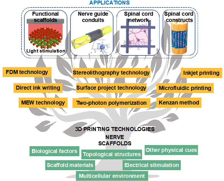 Extreme Manufacturing | 3D Printing of Hard/Soft Switchable Hydrogels