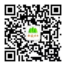 Continuous Wire Feed Laser Soldering Process for 18 Solder Points on PCB LCD Modules
