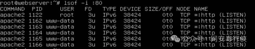 How to Investigate a Linux System Breach?