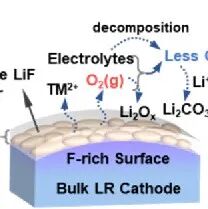 Fatigue-Free and Skin-like Supramolecular Ion-Conductive Elastomeric Interphases for Stable Lithium Metal Batteries