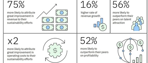 Beyond Formalism: Creating Business Value through Embedded Sustainability