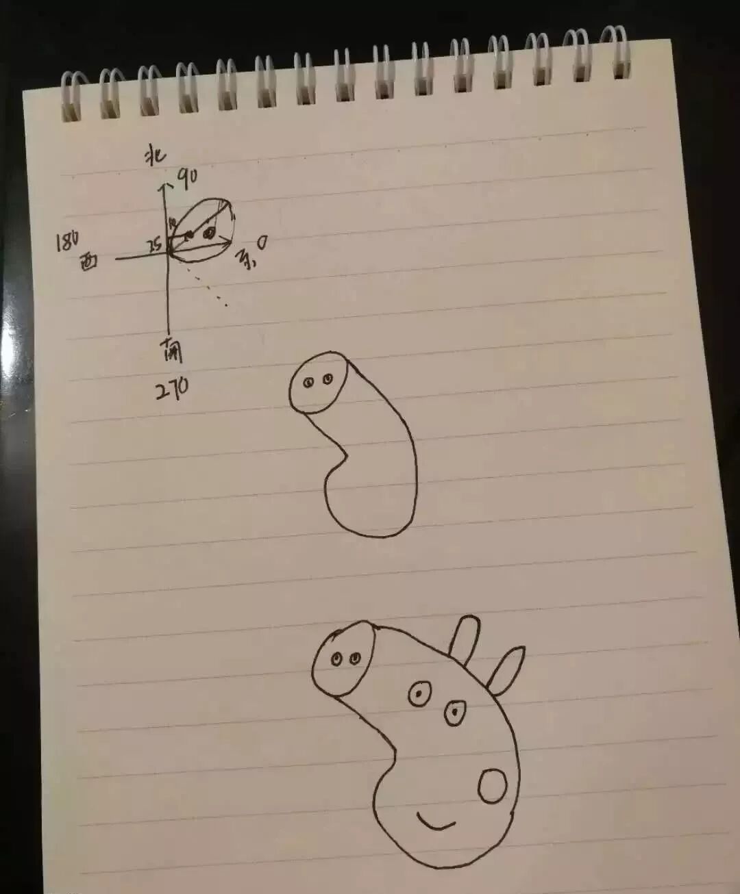 What is Peppa? Let's Show You with Python!