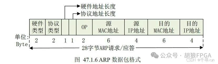 The Role and Message Format of ARP in TCP/IP