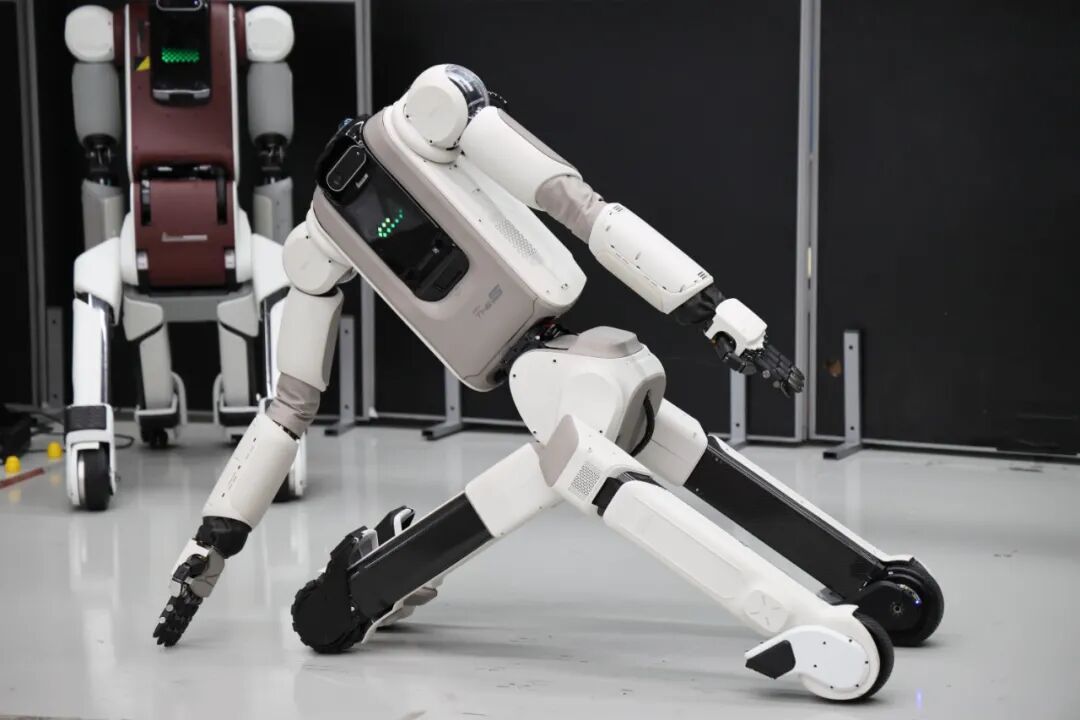The Era of Elderly Care Robots: What Are Your Thoughts?