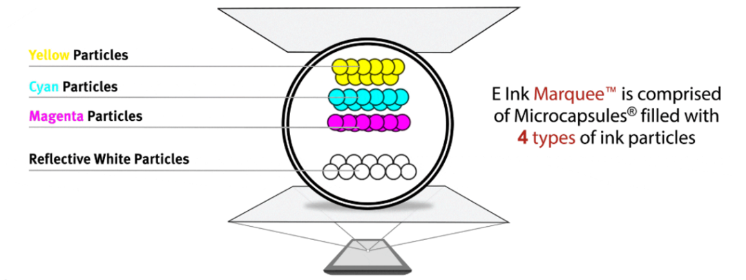 The Largest 75-Inch Color E-Paper to Enter Mass Production This Year, Marking 2025 as the Year of Large-Size Color E-Paper; Low Energy Consumption Requirements Accelerate Digital Signage Applications