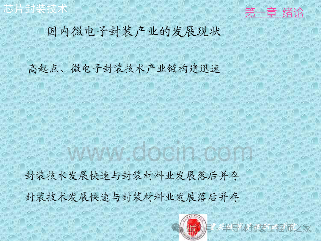 Integrated Circuit Chip Packaging Technology