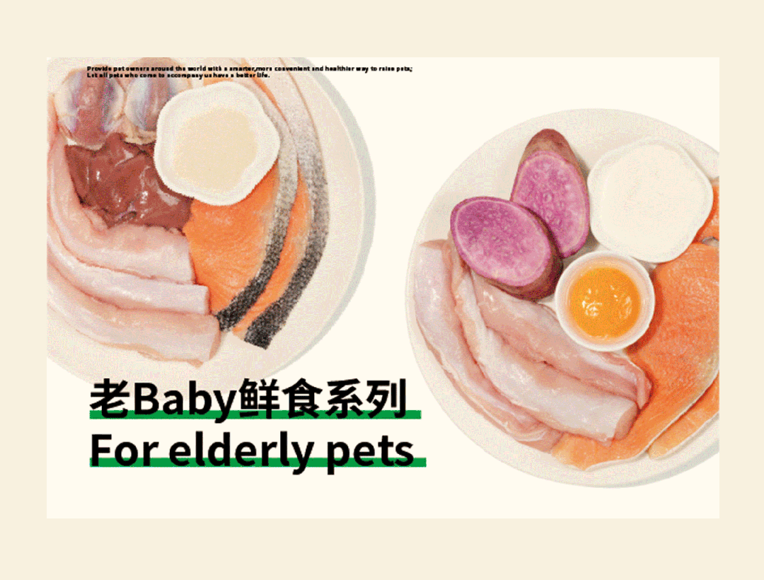 85°C Constant Temperature Lock Fresh, Easily Satisfying Your Pet's Appetite