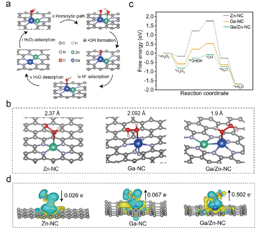 Synergizing Catalysis with Post-catalysis Pseudo-Iron Release by Building Dynamic Catalytic Active Sites in Diatomic Nanozymes for Boosting Cancer Therapy