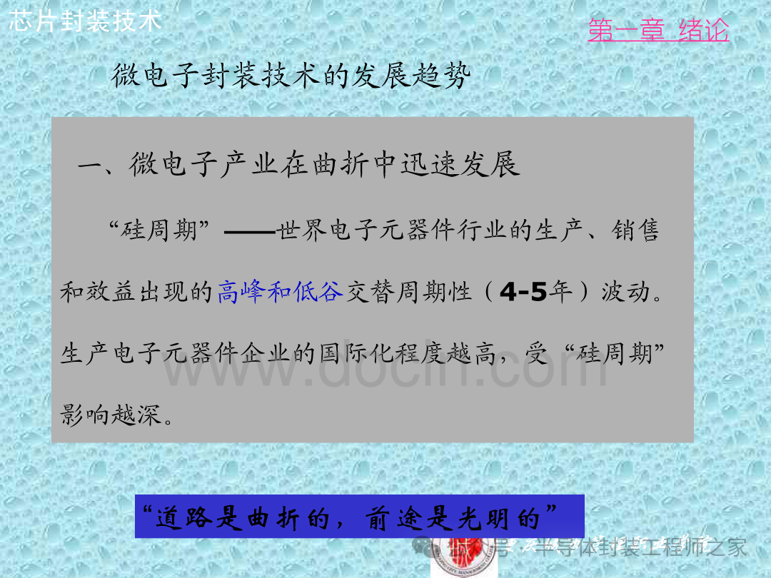 Integrated Circuit Chip Packaging Technology