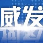 Embedded Community Elderly Care: The "Last Mile" of Elderly Care in China