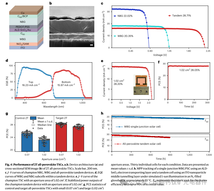 Wuhan University’s Ke Weijun in Nature Nanotechnology: Piracetam Shapes Wide-Bandgap Perovskite Crystals for Scalable Perovskite Tandems