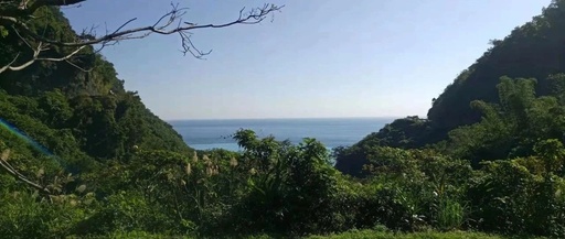 Fundamentals of C Language: Reducing For Loops to Improve Execution Efficiency