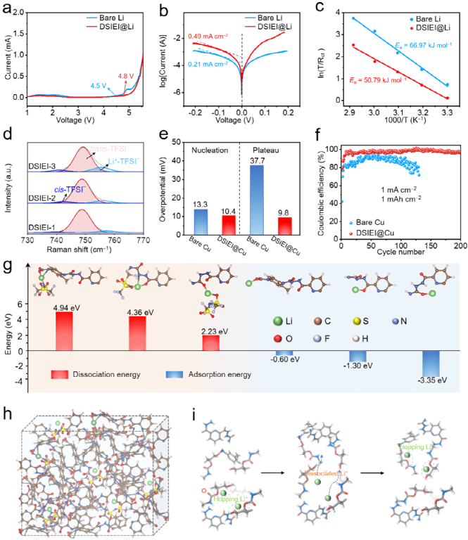Fatigue-Free and Skin-like Supramolecular Ion-Conductive Elastomeric Interphases for Stable Lithium Metal Batteries