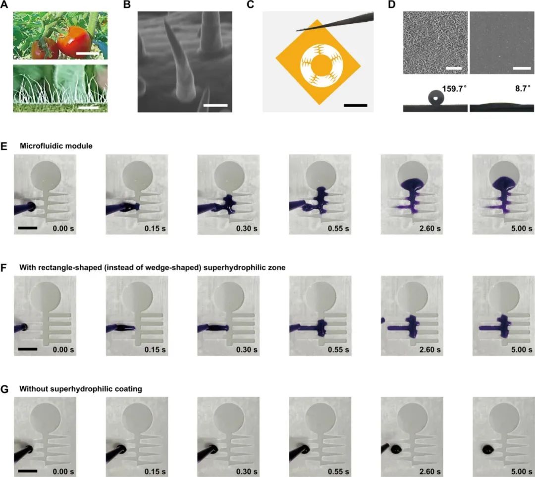 ACS Nano: A Fully Integrated Wearable Biomimetic Microfluidic Wound Tracker for In Situ Dynamic Monitoring of Wound Exudate Oxygen