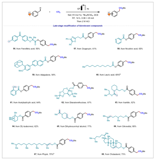 Breakthrough in Inertness: Study on Benzylic C-H Carboxylation Reaction Involving Non-Transition Metals and Alkali