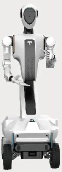 Is There a Need for Humanoid Robots?