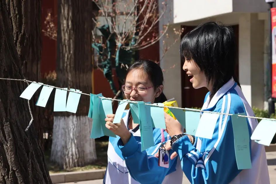 Building Foundations, Breaking Boundaries, and Blossoming Innovations