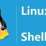 Linux Shell: From Beginner to Retirement