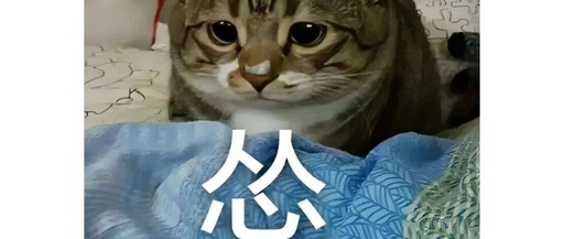 The Surprising Pronunciation of the Character '怂': What Should It Be?