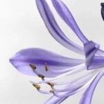 Exiv2: A Powerful C++ Library for Image Metadata Processing