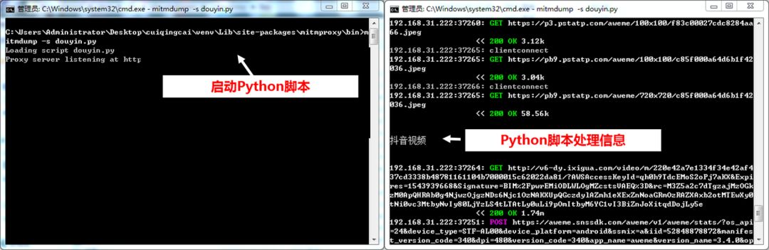 Automated Downloading of Douyin Videos Using Python