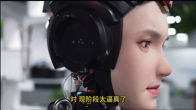 The World's First Robot Marathon: Which 'Competitors' Will Shenzhen Send?